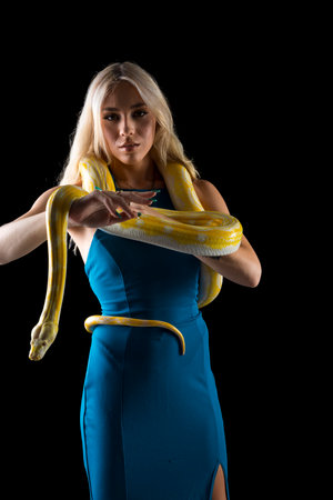 A gorgeous blonde model poses with a Boa snake in a studio environmentの写真素材