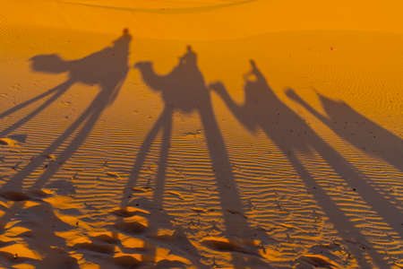 Shadows of a group of travelers are seen in the sand as they walk through the Saharan Desert in Morocco, Africaの写真素材