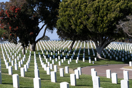 Generic view of a veterans cemetery on top of a hill showing American prideのeditorial素材