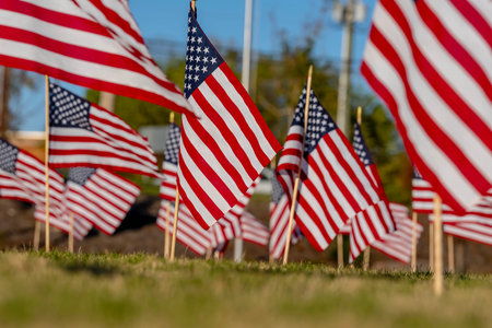 A group of American flags wave in the breeze during the Veterans Memorial Weekendのeditorial素材