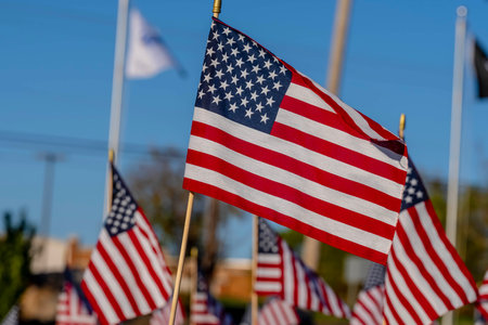 A group of American flags wave in the breeze during the Veterans Memorial Weekendのeditorial素材