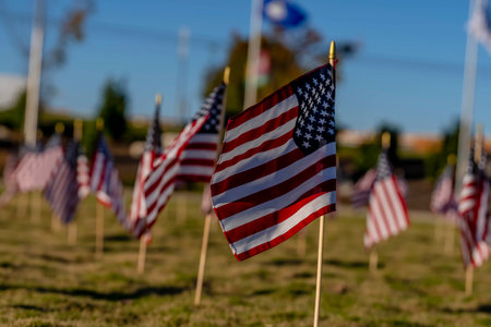 A group of American flags wave in the breeze during the Veterans Memorial Weekendのeditorial素材