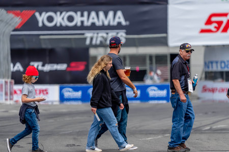 Fans cheer for their favorite drivers during the Acura Grand Prix of Long Beach at The Streets of...