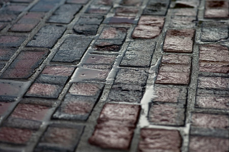 The yard of bricks sit quietly before the Penzoil 150 Presented by Advanced Auto Parts at the Indianapolis Motor Speedway in Indianapolis IN.のeditorial素材