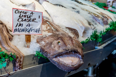 The mornings fresh catch is on ice, ready to be purchased by consumers in an open marketの写真素材
