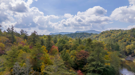 Aerial view of the changing leaves in autumn near Avery County, North Carolina.の写真素材