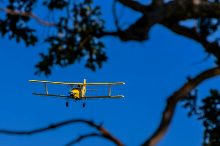 Low-flying crop duster combats pests, safeguarding fields with precision chemical spraying for...