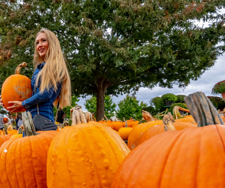 A beautiful European blonde female pics out some pumpkins and flowers for the upcoming fall festivalsの写真素材