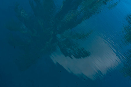 Caribbean paradise unfolds: Turquoise waters, azure skies, and swaying palm trees create a breathtaking coastal scene along the pristine beach.の写真素材