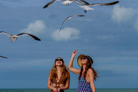 Two stunning women gracefully feed seagulls on a Caribbean beach, surrounded by turquoise waters and golden sands, creating a picturesque vacation sceneA stunning woman gracefully feeds seagulls on a Caribbean beach, surrounded by turquoise waters and golden sands, creating a picturesque vacation sceneの写真素材