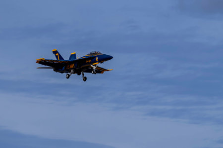 The elite US Navy Blue Angels hone precision in the California desert, practicing intricate...