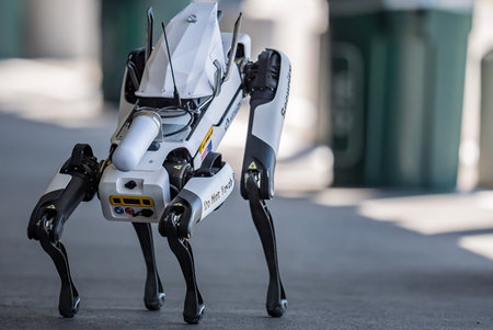 A robotics drone dog from Asylon Robotics walks through the crowd as an extra security measure during the 108th Running of the Indianapolis 500 at the Indianapolis Motor Speedway in Speedway, IN.のeditorial素材
