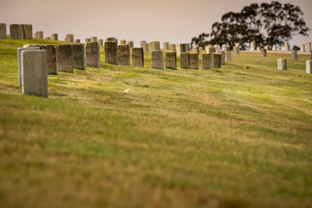 Generic views of a veterans cemetery on a serene day, featuring American flags fluttering in the breeze as a memorial celebration honors those who served.のeditorial素材