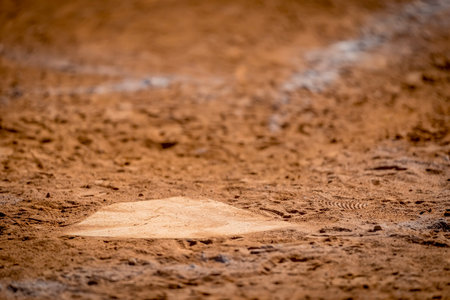 Little league boys play with excitement under a clear blue sky, their laughter and shouts filling...
