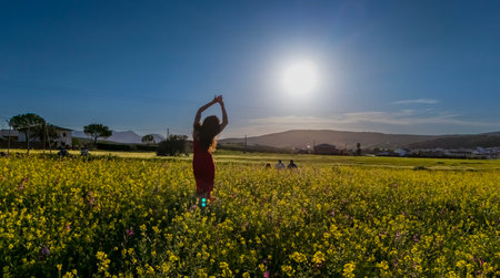 A stunning model basks in late summer's glow amidst wildflowers, embodying nature's beauty with elegance.の写真素材