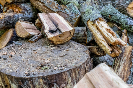 A stack of freshly cut logs awaits winterâ€™s chill. Each piece reflects effort and foresight,...