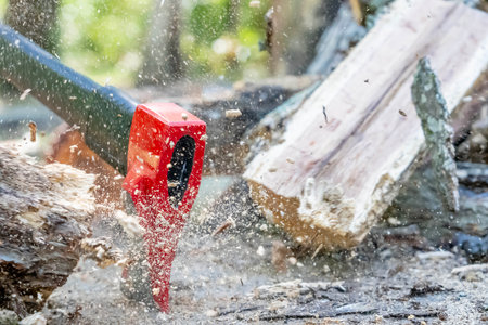 A robust young man wields an axe, skillfully cutting wood on his property. He clears the land while preparing a vital winter supply, turning effort into warmth for the cold months ahead.の写真素材