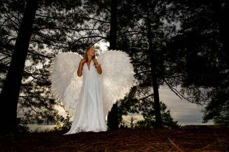 A stunning young blonde dressed in pure white, adorned with delicate angel wings, strikes a graceful pose. Her serene expression and flowing attire evoke an ethereal presence, embodying angelic beauty.の写真素材