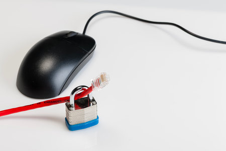 A padlock and keys with ethernet cables  and a computer mouse showing internet securityの写真素材