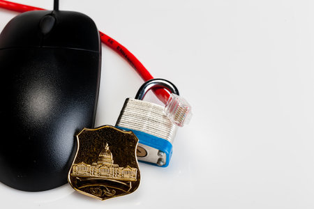 A padlock with ethernet cables  and police badge showing internet securityの写真素材