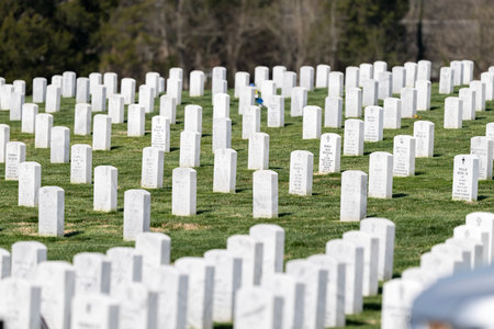 Symmetrical rows of gravestones adorned with American flags honor fallen heroes at a veterans cemetery. Lush green grass and manicured lawns set a serene scene for Memorial Day remembrance.の写真素材