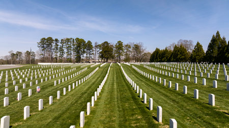 Symmetrical rows of gravestones adorned with American flags honor fallen heroes at a veterans...