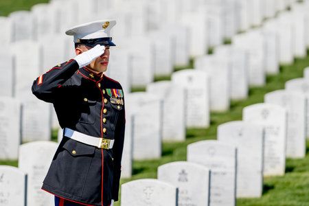 A poignant moment unfolds as a Marine plays taps, honoring a fallen veteran with a solemn salute,...