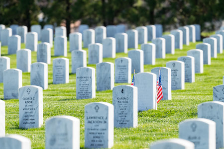 Symmetrical rows of gravestones adorned with American flags honor fallen heroes at a veterans...