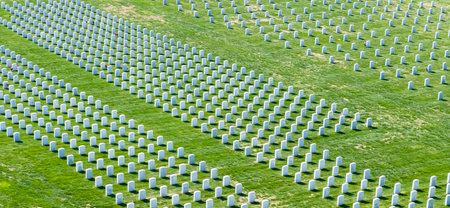 Symmetrical rows of gravestones adorned with American flags honor fallen heroes at a veterans...