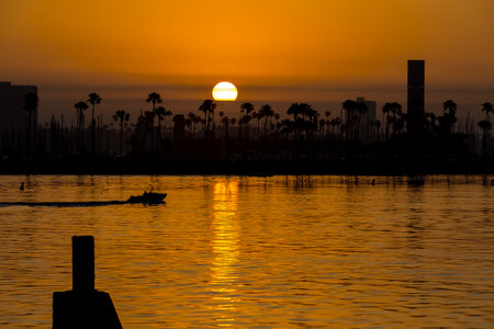 A golden sunrise glows over calm waters, silhouetting palm trees and a lone seagull. The sky blazes warmly, serene and empty, capturing natures quiet beauty in a tranquil moment.の写真素材