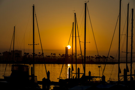 A golden sun rises over tranquil waters, casting warm light across the sky. Palm trees and small...