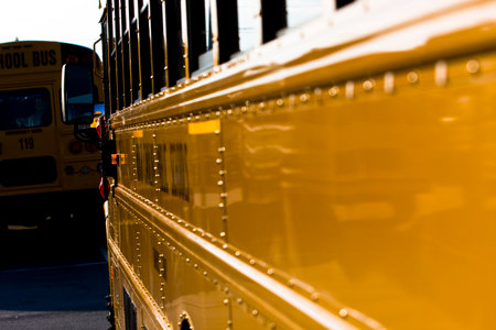 Bright yellow school buses line up in the morning light, engines humming, doors open, and drivers...