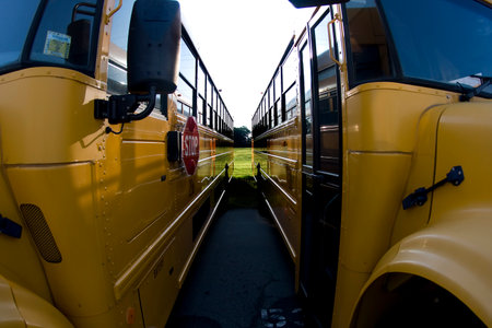 Bright yellow school buses line up in the morning light, engines humming, doors open, and drivers...