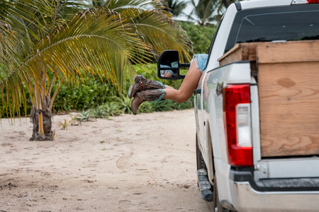 A playful cowgirl leans from her truck, boots kicking in the air, reaching for her gear while soaking up sun and sea vibes on her vibrant Caribbean getaway.の写真素材