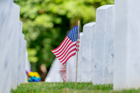 Rows of marble military headstones stand in precise alignment, adorned with flowers and American flags. The serene field reflects profound respect and dignity for the fallen heroes who served our country.の写真素材