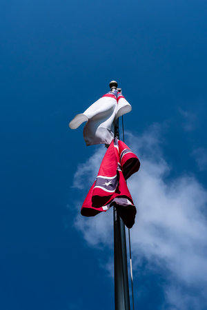 A solemn view of Marietta Confederate Cemetery in Georgia, final resting place of over 3,000 soldiers from 14 states, honoring those lost in battles like Chickamauga, Kolbâs Farm, and Kennesaw Mountain.の写真素材