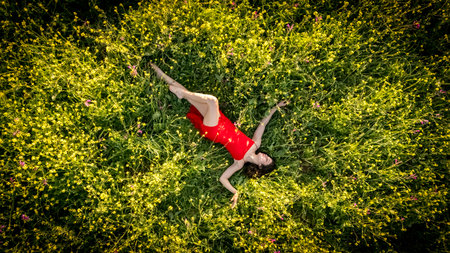 A stunning European model basks in late summer's glow amidst Spanish wildflowers, embodying nature's beauty with elegance.の写真素材