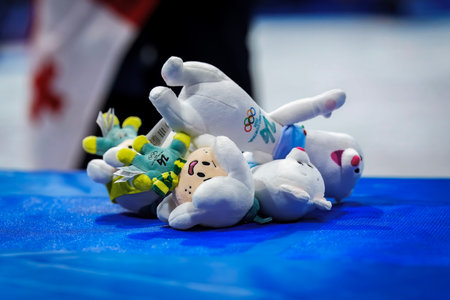 Anastasiia Metelkina and Luka Berulava win the silver medal at the Figure Skating Pair Skating Free Skating Finals at the Milano Ice Skating Arena during the 2026 Milano Cortina Winter Olympics in Milan, Italy.のeditorial素材
