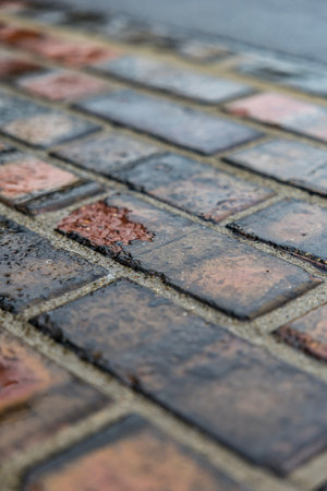 Rain puts a hold on the days schedule as Indianapolis Motor Speedway plays host to the NTT INDYCAR SERIES for the Indianapolis 500 in SPEEDWAY, Indiana.