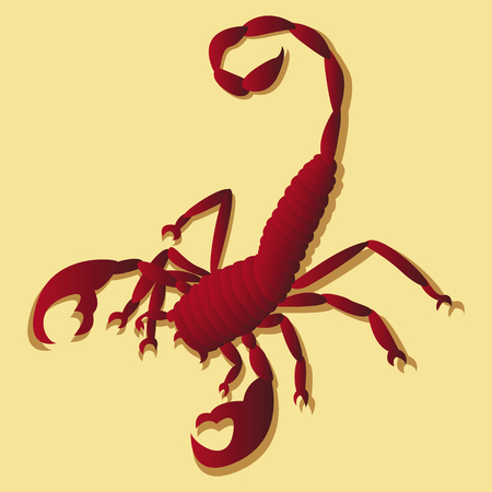 Tattoo in the form of the stylized scorpionのイラスト素材