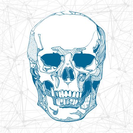 Hand drawn skull with science elements background. Vector illustration.のイラスト素材