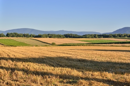 Summer mountain landscape. Cultivated fields and beautiful mountain peaks.の写真素材