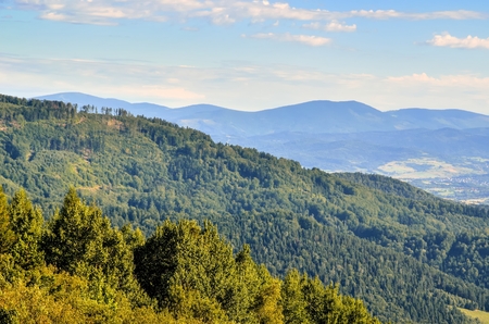 Summer mountain landscape. Beautiful green hills on a sunny day.の写真素材