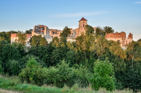 Beautiful historic castle ruins on a green hill. Ruins of Tenczyn Castle in Rudno, Poland.の写真素材