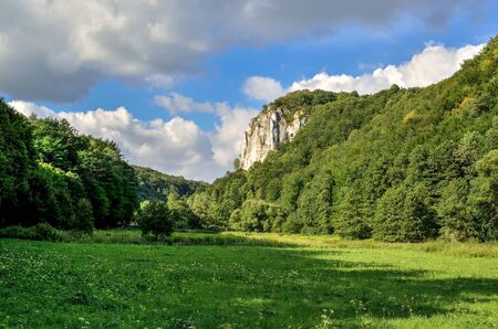 Sunny summer landscape. Beautiful green Jurassic valley in Poland.の写真素材