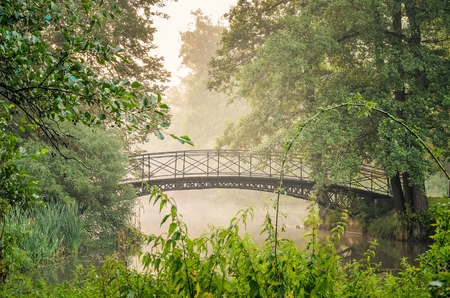 Green park in the morning. Bridge in a beautiful castle park in Pszczyna, Poland.の写真素材