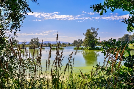 Sunny summer landscape. Beautiful pond in the countryside with mountains in the background.の写真素材