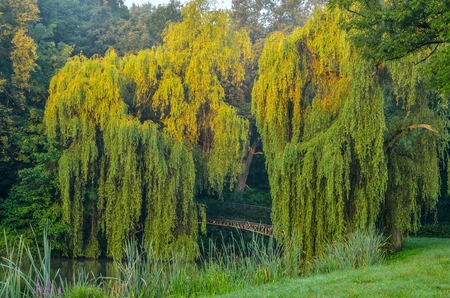 Summer morning in the park. Pond and bridge in the castle park in Pszczyna, Poland.の写真素材