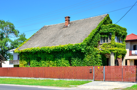 Creatively decorated old house. Old house in green leaf.の写真素材
