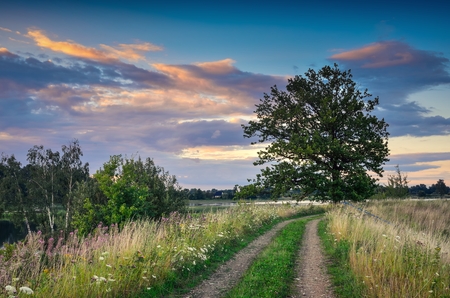 Beautiful summer landscape. Rural road among green grasses and beautiful colorful sky in the background.の写真素材